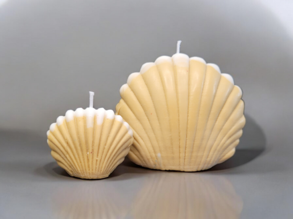 Conjunto de Velas Conchas